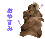 529912226