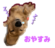 529912228