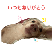529912233