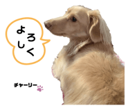 529912235