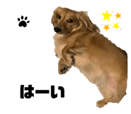 529912236