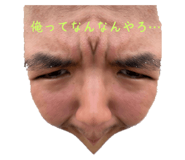 529930397