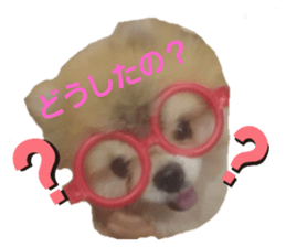 529950187