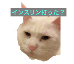 529950705