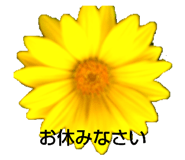 529951138