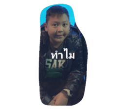 52995525