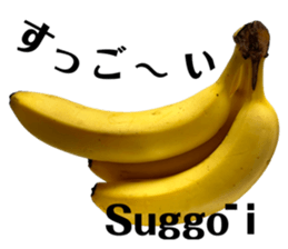 529966175