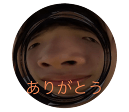 529994136