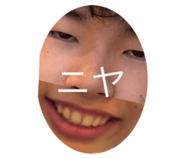 529994157