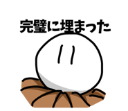 529995855
