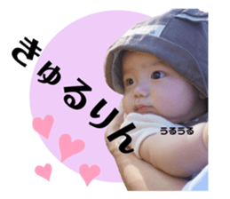530023653