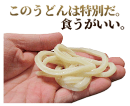 530027998