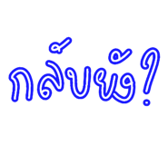 530040138