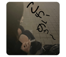 530168812
