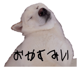 530206513