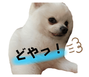 530212740