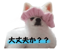 530212752