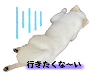 530212755