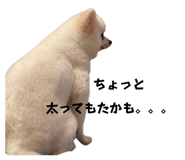 530212761