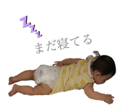 530240119