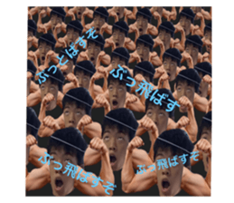 530252078