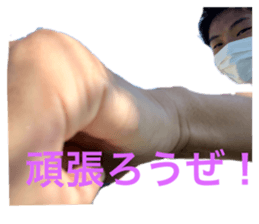 530252716