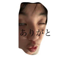 530254651