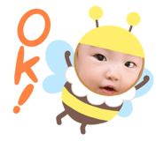 530276576