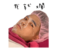 530295856
