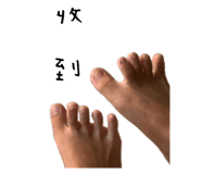 530295857