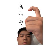 530295861