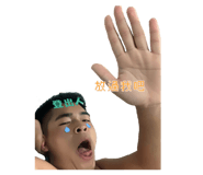 530295866