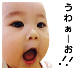 530307776