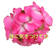 530397127