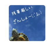 530429931