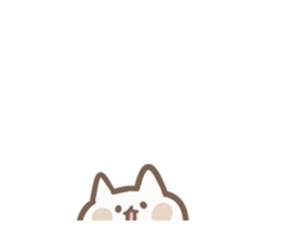 530439311