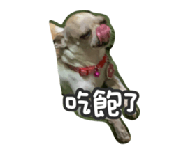 530442464