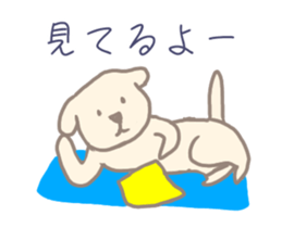 530482123