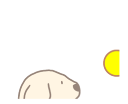530482132
