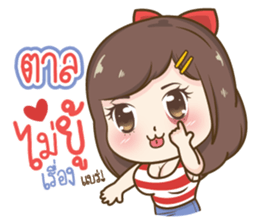 53048249