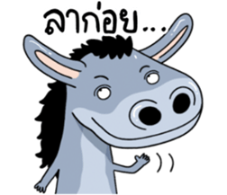 530490117
