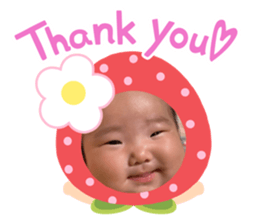 530506586