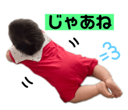 530512923