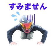 530519556