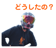530519558