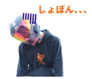 530519564