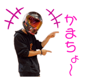 530519577