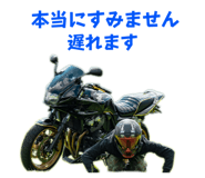 530519584