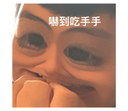 530533121