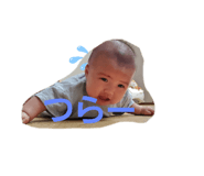 530565378